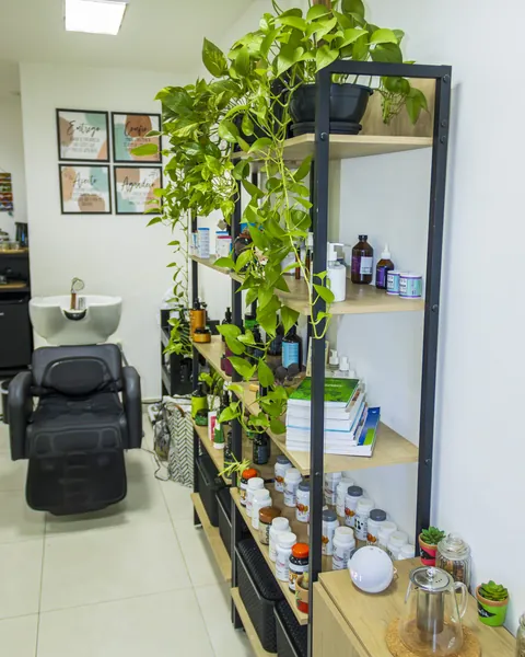 Lavatório e estante com plantas na sala de tratamento